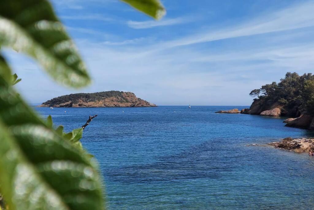 Sea View Climatise Terrasse Vue Mer Parking By Laconciergerie13 La Ciotat Zewnętrze zdjęcie